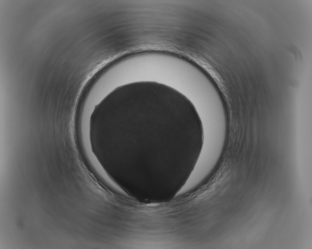 X0000113120391200909181653