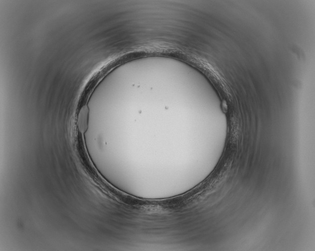 X0000113120392200909181653