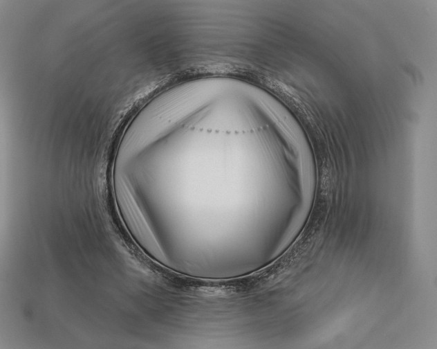 X0000113120394200909181653