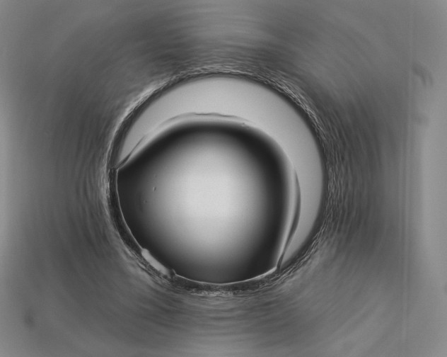 X0000113120395200909181653