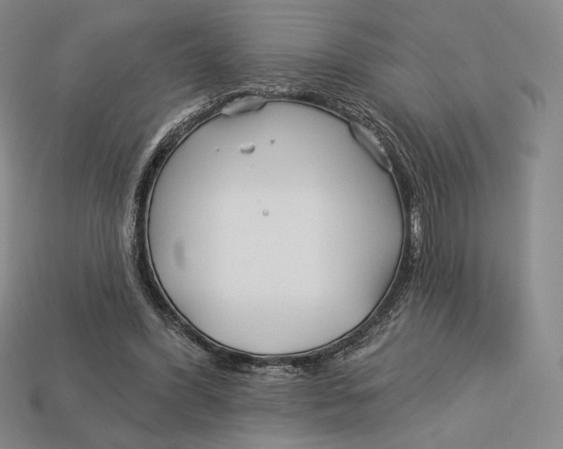 X0000113120396200909181653