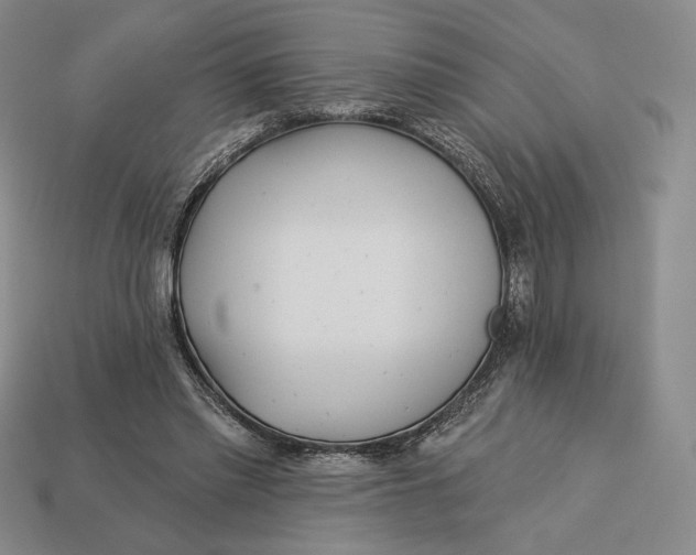 X0000113120397200909181652