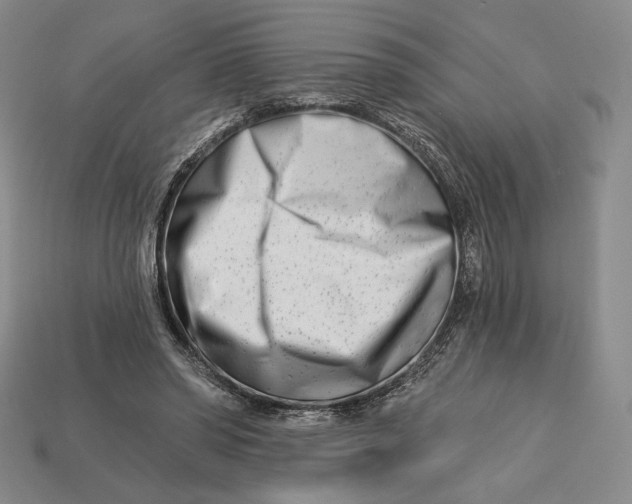 X0000113120398200909181652