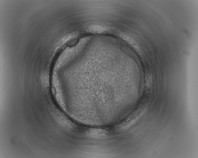 X0000113120399200909181652