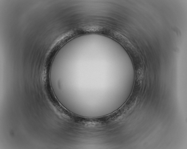 X0000113120400200909181652