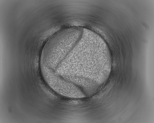 X0000113120402200909181652