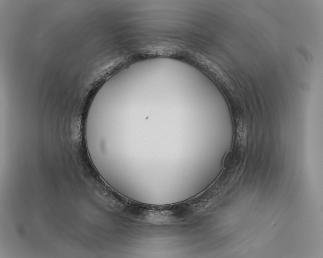 X0000113120403200909181652