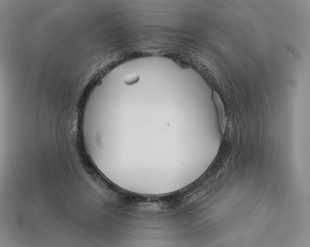 X0000113120404200909181652