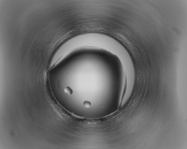 X0000113120405200909181652