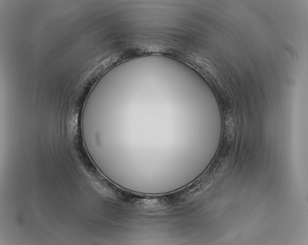 X0000113120406200909181652