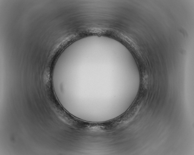 X0000113120407200909181652