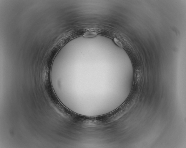 X0000113120408200909181652