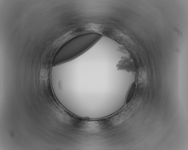 X0000113120409200909181652