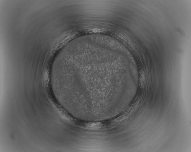 X0000113120410200909181652