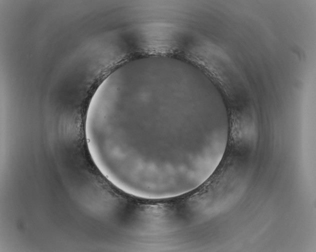 X0000113120411200909181652