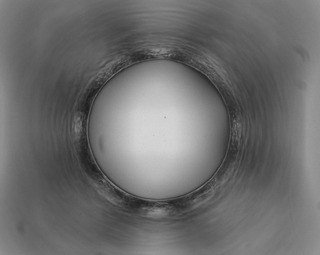 X0000113120412200909181652