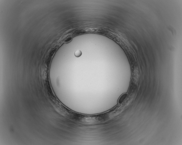 X0000113120413200909181652