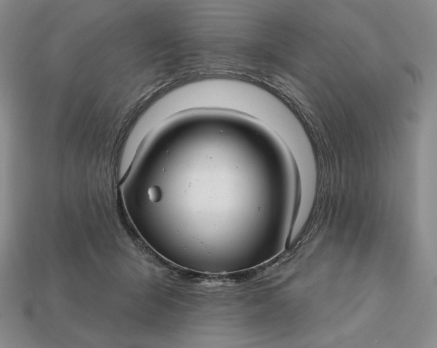 X0000113120415200909181652