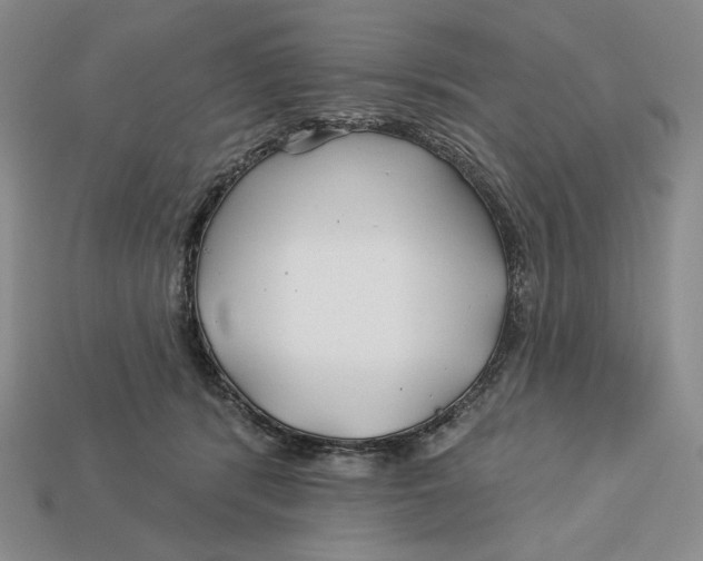 X0000113120416200909181652