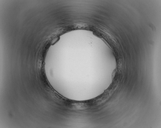 X0000113120417200909181652