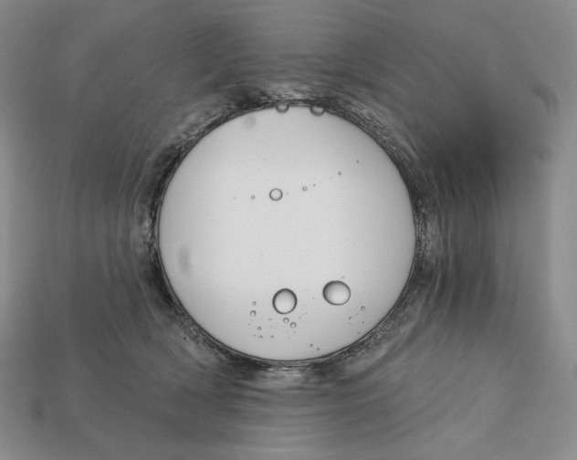 X0000113120418200909181652