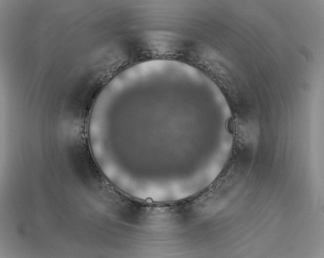 X0000113120419200909181652