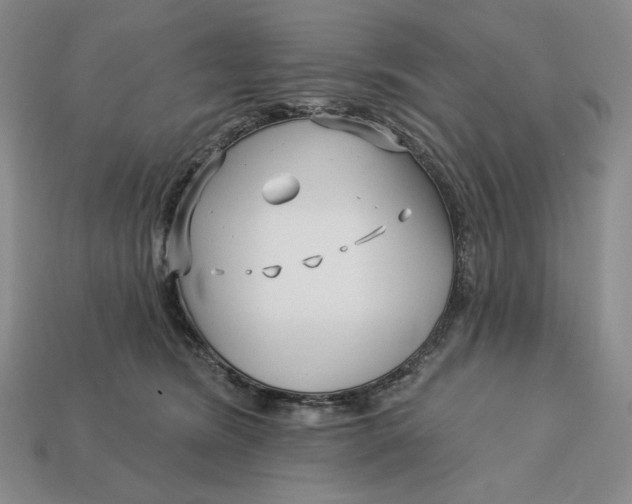 X0000113120420200909181652