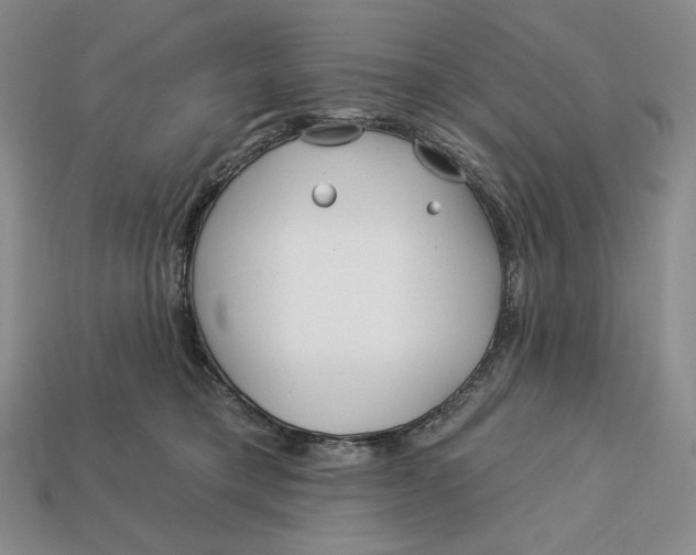 X0000113120421200909181652