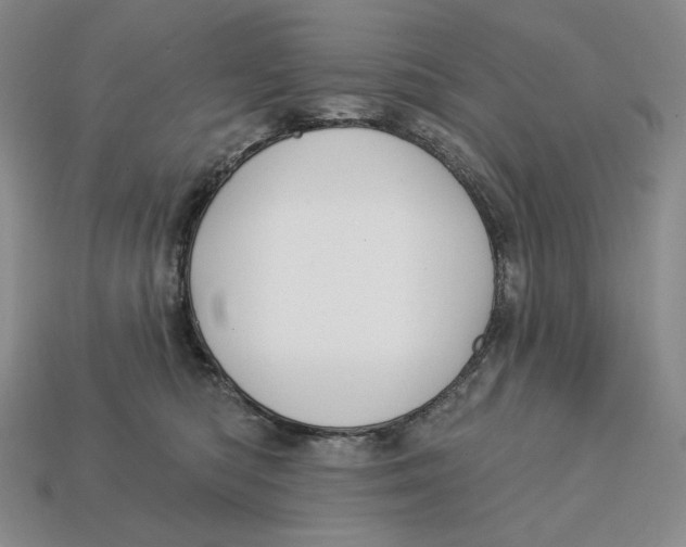 X0000113120422200909181652