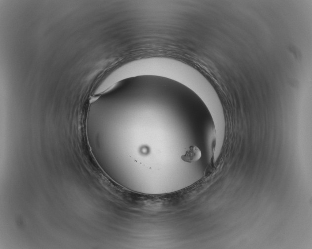 X0000113120423200909181652