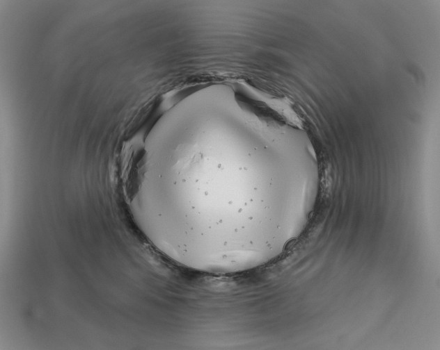 X0000113120424200909181652