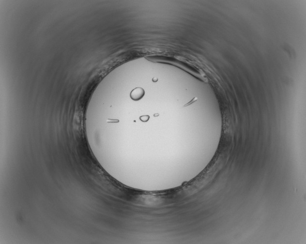 X0000113120425200909181652