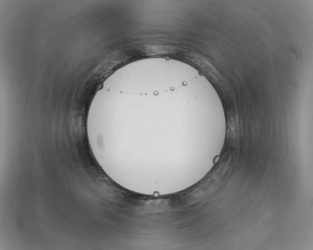 X0000113120426200909181652