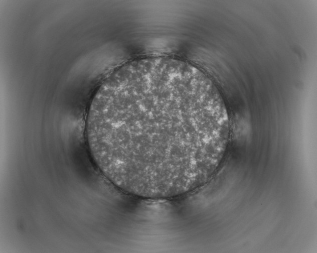 X0000113120427200909181652