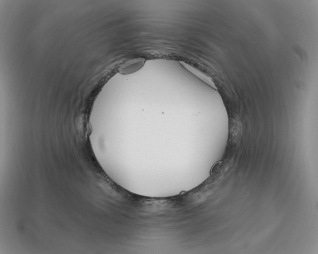 X0000113120428200909181652