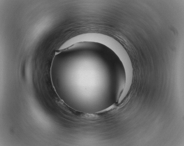 X0000113120429200909181652