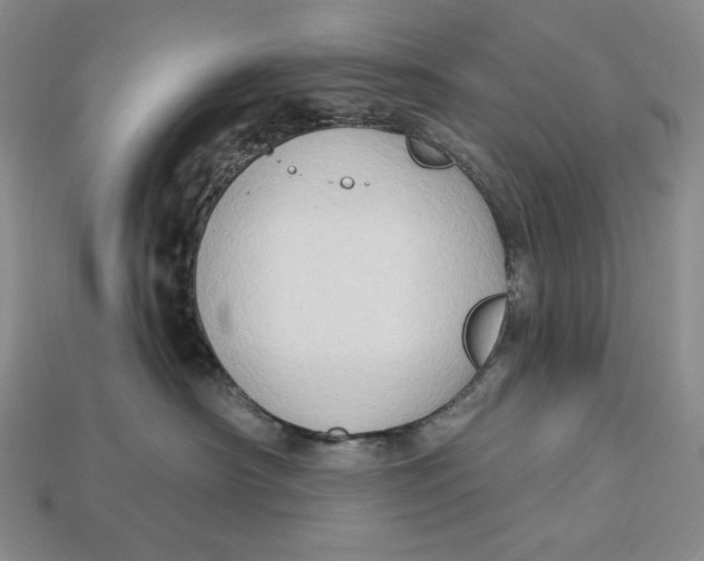 X0000113120430200909181652