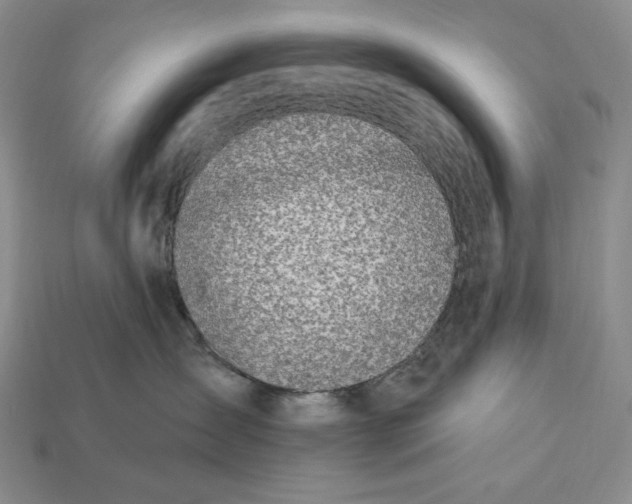 X0000113120431200909181652