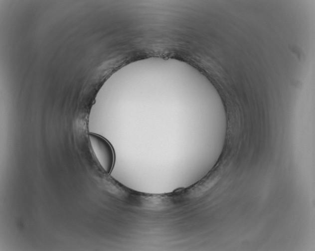 X0000113120432200909181652