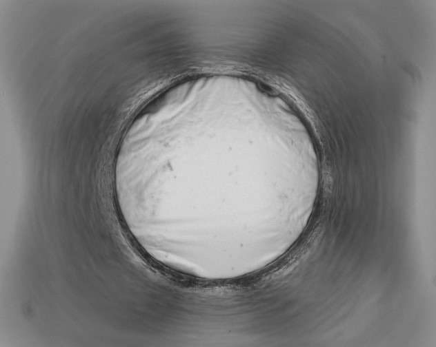 X0000113120433200909181651