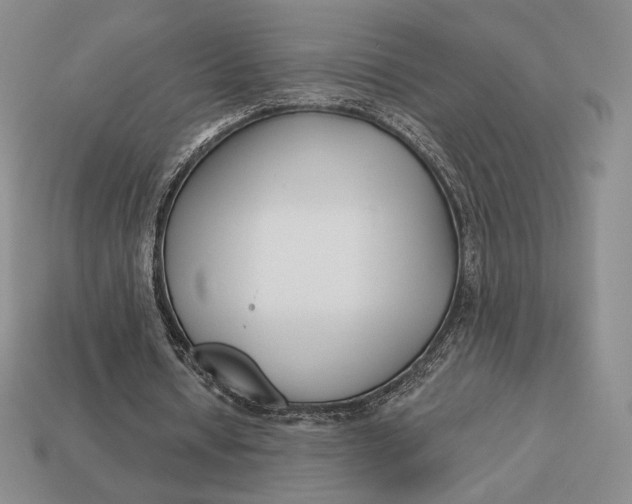 X0000113120434200909181651