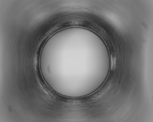 X0000113120435200909181651