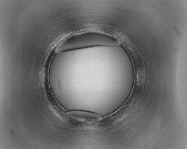 X0000113120436200909181651