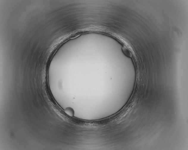 X0000113120437200909181651