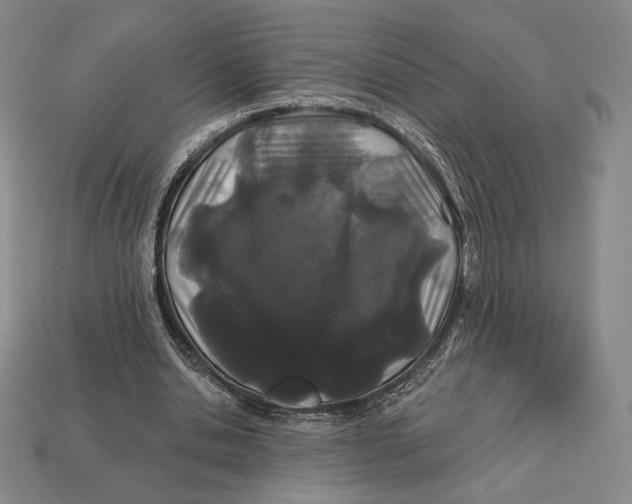 X0000113120438200909181651