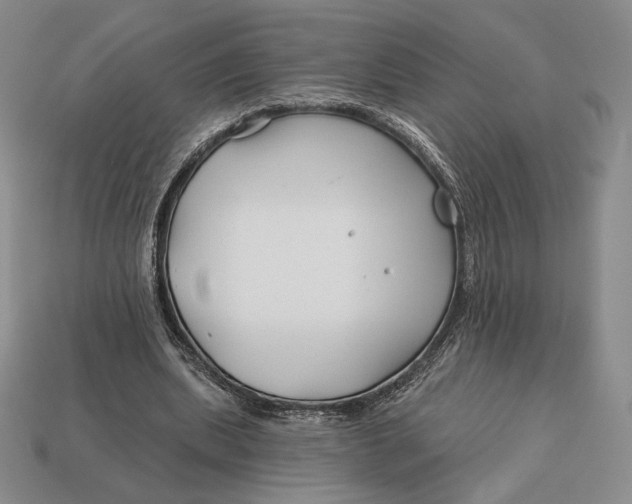 X0000113120439200909181652