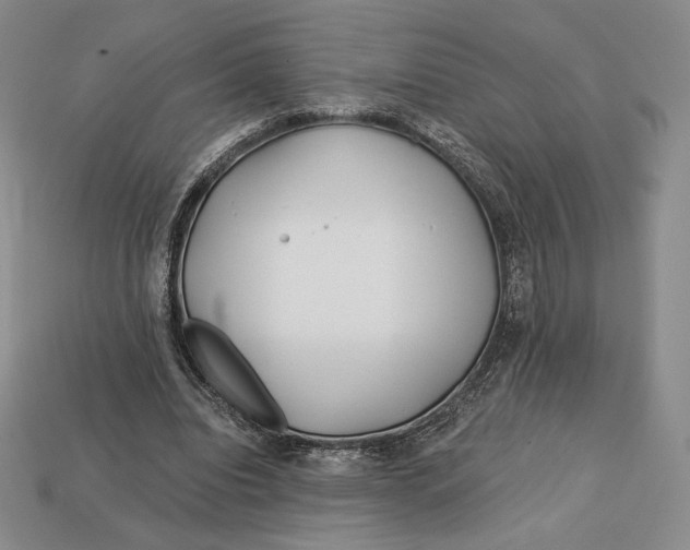 X0000113120440200909181652