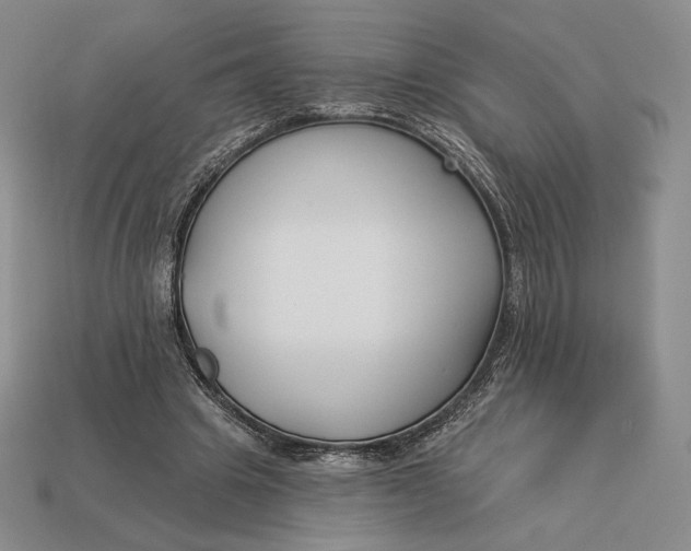 X0000113120441200909181652