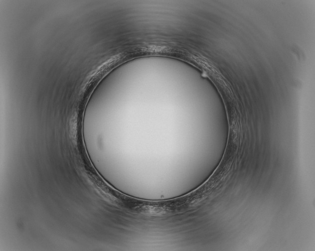 X0000113120442200909181652