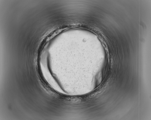 X0000113120443200909181652